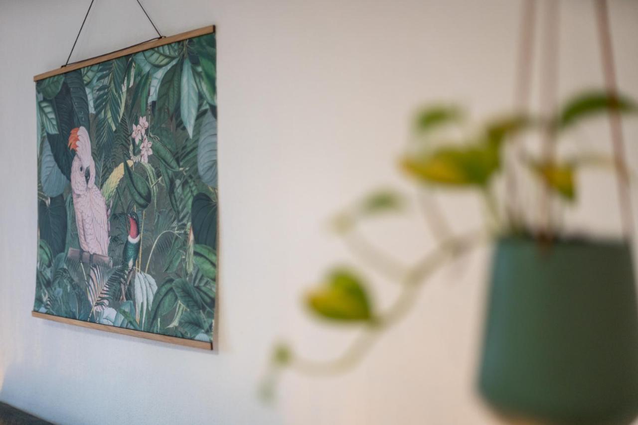 Kakadu - Zentral - Workplace - Gemeinschaftsterrasse, Snes Frankenberg an der Eder Eksteriør billede
